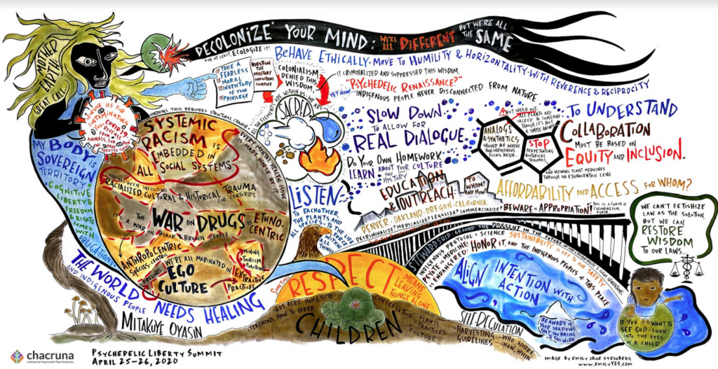Psychedelic Liberty Summit, di E.J. Steinberg