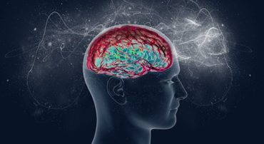 glutammato_neurotrasmettitore